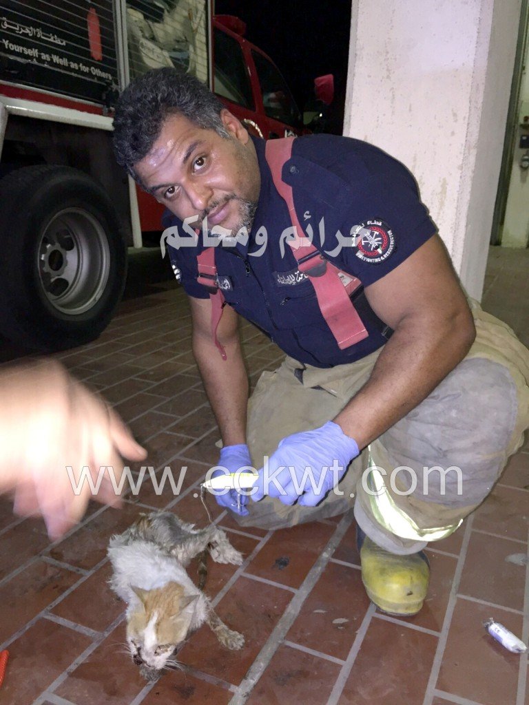 واجب إنساني