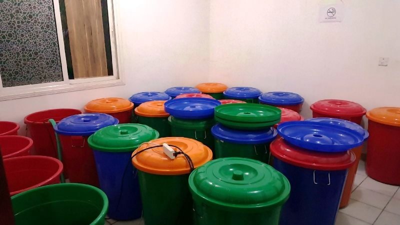 براميل مملوءة بالخمر المحلي