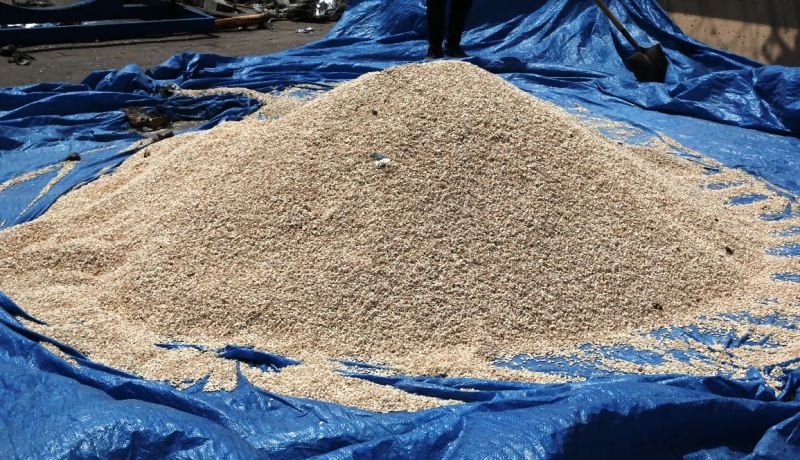 إنقاذ البلاد وشبابها من 10 ملايين حبة مخدرة