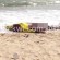 العثور على جثة غريق في شاطئ «المنقف»