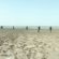 إنقاذ حدثين علقا بمنطقة طينية في شاطئ الصليبيخات