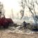 إخماد حريق أشجار في «أبو حليفة» بلا إصابات