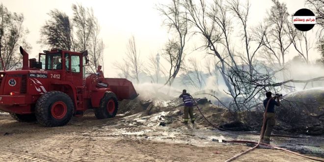 إخماد حريق أشجار في «أبو حليفة» بلا إصابات