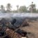إخماد حريق أشجار ومهملات في «الصباحية» بلا إصابات