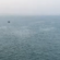 وفاة صياد مصري ونجاة آخرين بإطلاق نار من قراصنة في البحر
